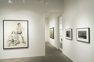 Draughtsmanship: Selected Drawings from the Allan Stone Collection, installation view