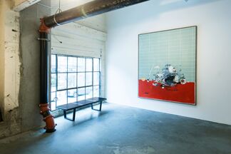 This life domestic, installation view