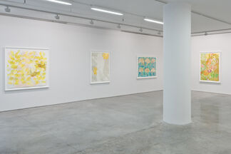 The Other I, installation view