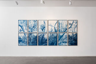 Lucid Dreams, installation view
