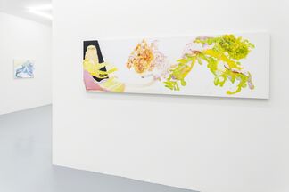 PIA FRIES - fernleib manual, installation view