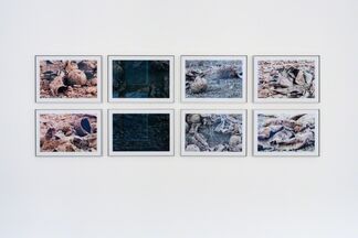 Reinhard Hauff at Art Cologne 2017, installation view