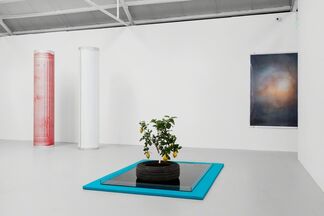 Constructed culture sounds like conculture, installation view