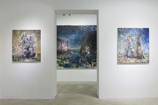 Todor Tamás: SORA, installation view