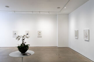 Fabled Flora, installation view