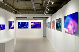 KANA KAWANISHI GALLERY at Photo London 2020, installation view