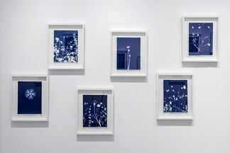 Pipo Nguyen-duy | AnOther Expedition: Monet's Garden, installation view