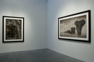 Nick Brandt : On This Earth, A Shadow Falls, installation view