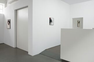 Martin Neumaier "im Weltstaat", installation view