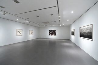 Minjung Kim- Paper, Ink and Fire: After the Process, installation view