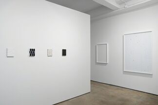 Microwave X, installation view