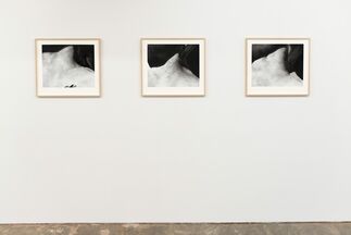Romain Cadilhon "Dawn Chorus", installation view