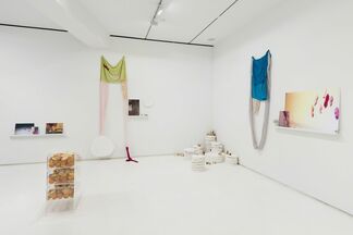 PAFA MFA Exhibition: On Being Solid, installation view