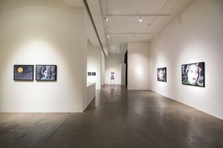 Stacey Steers | Trilogy, installation view