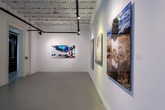 Living Creatures, installation view