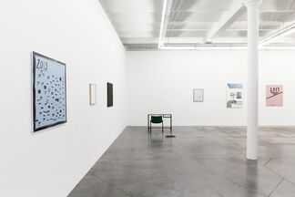 What's the meaning of a goldfish, installation view