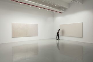Mark Wallinger. Study for Self Reflection, installation view