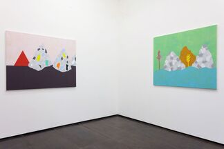 Cara Nahaul: Crossing the Tropic, installation view