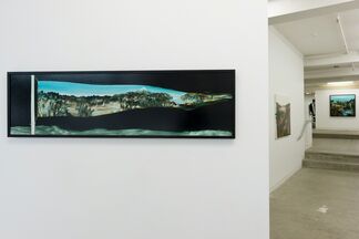 John Walsh, installation view