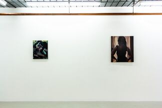 Laura Lancaster: Shadows and Mirrors, installation view