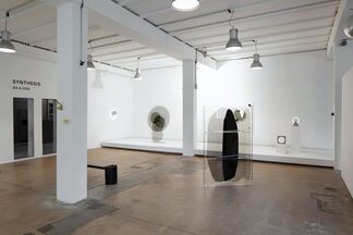 OS ∆ OOS – SYN-THE-SIS, installation view