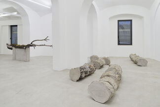 Stefano Canto - Carie, installation view