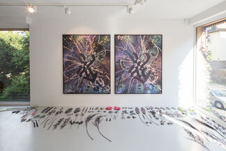 NIELS SHOE MEULMAN - UNIDENTICALS AND REVERSE PAINTINGS, installation view