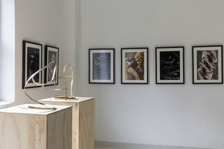 EVES - Sculptural Jewelry by Jacques Jarrige and Photography by Alex Korolkovas, installation view
