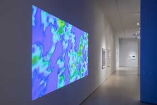 Stephen Dean: A chaos theory of color, installation view