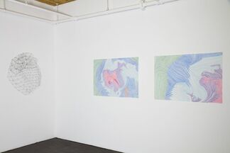 Colleen Wolstenholme, installation view