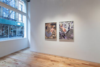 Hotbed, installation view