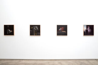 Fully Automatic, installation view