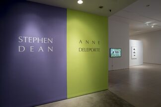 Anne Deleporte: DAZZLE, installation view