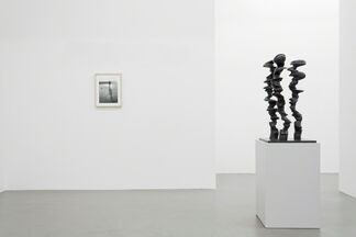 Figure, installation view