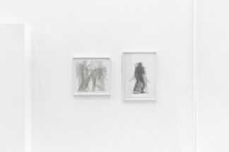 Aziz + Cucher | Distant Mirrors, installation view