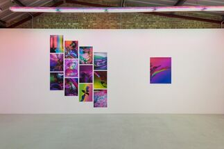 Signe Pierce 'Faux Realities', installation view