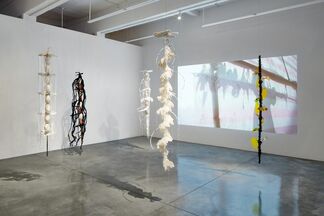 Happy Together, installation view