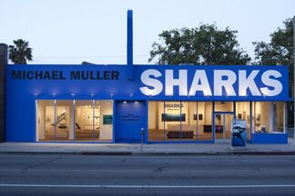 Michael Muller: Sharks, installation view