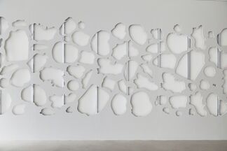Scott Carter: The Shape of Things, installation view