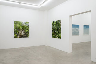 Naruki Oshima "haptic green", installation view