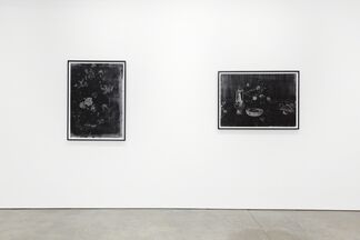 Christopher Cook: Shadows We Run For, installation view