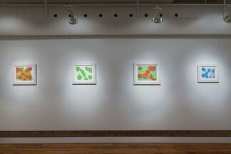 Howard Hodgkin: Hand Painted and Relief Prints: 1990-2014, installation view
