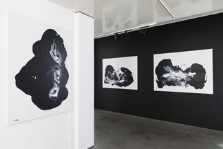 MA Desheng - White dream, black souls, installation view
