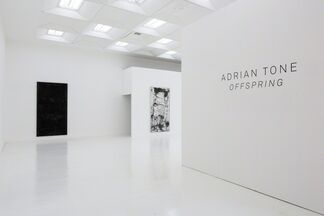Adrian Tone: Offspring, installation view