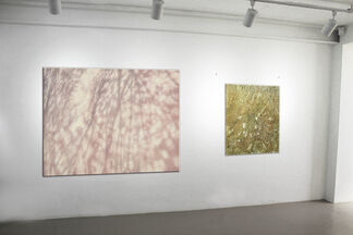 Axis of space and time, installation view