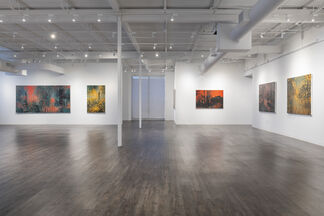 William Anzalone: Louise's Legacy, installation view