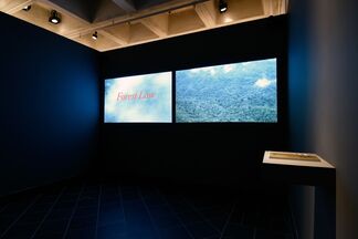 Resistance After Nature, installation view