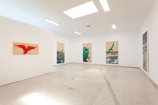 ADIOS MELANCHOLY - THE PARROTY OF LIFE, installation view