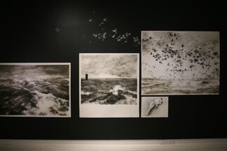 Phoebe Boswell: Take Me to the Lighthouse, installation view