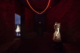 Björk, installation view